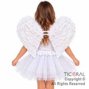 SET ALAS CON PLUMAS Y POLLERA BLANCO (9596A)